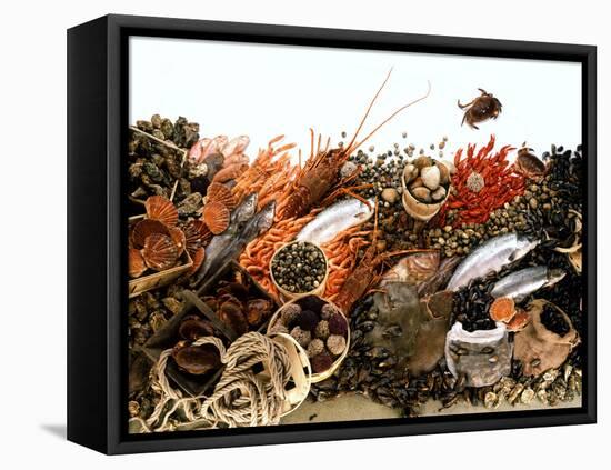 Fish and Seafood Still Life (Symbolic Picture)-Rauzier-Riviere-Framed Stretched Canvas