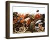 Fish and Seafood Still Life (Symbolic Picture)-Rauzier-Riviere-Framed Photographic Print