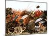 Fish and Seafood Still Life (Symbolic Picture)-Rauzier-Riviere-Mounted Photographic Print