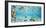 Fish and sharks in Bora Bora lagoon-Pangea Images-Framed Art Print