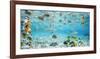 Fish and sharks in Bora Bora lagoon-Pangea Images-Framed Art Print