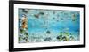 Fish and sharks in Bora Bora lagoon-Pangea Images-Framed Art Print