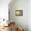 Fish Are Jumping 1 Yellow-Stephen Huneck-Framed Stretched Canvas displayed on a wall