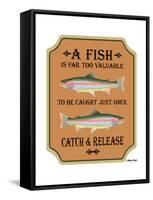Fish are Too Valuable-Mark Frost-Framed Stretched Canvas