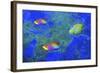 Fish Art 2-Ata Alishahi-Framed Giclee Print