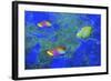 Fish Art 2-Ata Alishahi-Framed Giclee Print