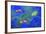 Fish Art 2-Ata Alishahi-Framed Giclee Print