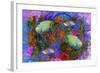 Fish Art 3-Ata Alishahi-Framed Giclee Print