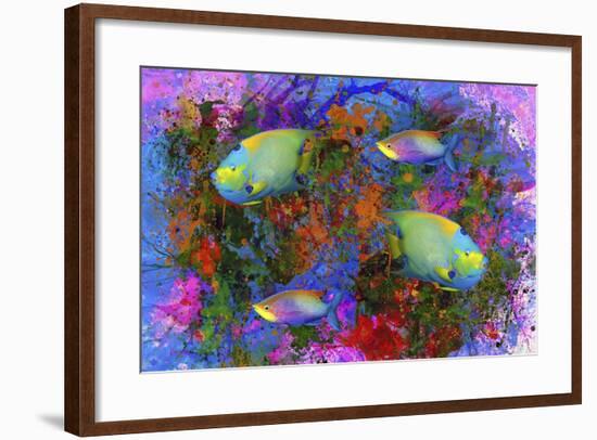 Fish Art 3-Ata Alishahi-Framed Giclee Print