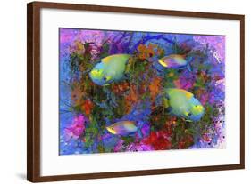 Fish Art 3-Ata Alishahi-Framed Giclee Print