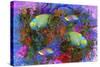 Fish Art 3-Ata Alishahi-Stretched Canvas
