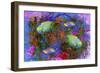 Fish Art 3-Ata Alishahi-Framed Giclee Print