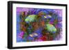 Fish Art 3-Ata Alishahi-Framed Giclee Print