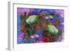 Fish Art 3-Ata Alishahi-Framed Giclee Print