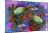 Fish Art 3-Ata Alishahi-Mounted Giclee Print