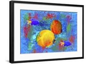 Fish Art 4-Ata Alishahi-Framed Giclee Print