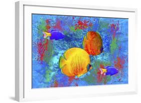 Fish Art 4-Ata Alishahi-Framed Giclee Print