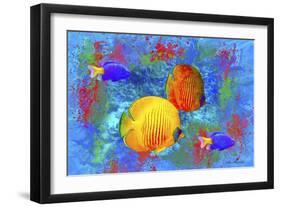 Fish Art 4-Ata Alishahi-Framed Giclee Print
