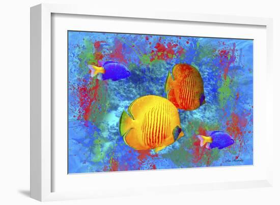 Fish Art 4-Ata Alishahi-Framed Giclee Print