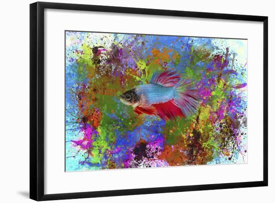 Fish Art 5-Ata Alishahi-Framed Giclee Print