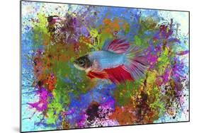 Fish Art 5-Ata Alishahi-Mounted Giclee Print