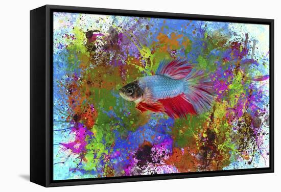 Fish Art 5-Ata Alishahi-Framed Stretched Canvas