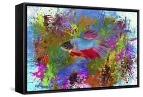 Fish Art 5-Ata Alishahi-Framed Stretched Canvas
