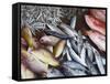 Fish at Market, Weligama, Southern Province, Sri Lanka, Asia-Ian Trower-Framed Stretched Canvas