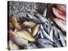 Fish at Market, Weligama, Southern Province, Sri Lanka, Asia-Ian Trower-Stretched Canvas