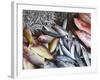 Fish at Market, Weligama, Southern Province, Sri Lanka, Asia-Ian Trower-Framed Photographic Print