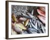 Fish at Market, Weligama, Southern Province, Sri Lanka, Asia-Ian Trower-Framed Photographic Print