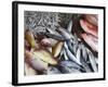 Fish at Market, Weligama, Southern Province, Sri Lanka, Asia-Ian Trower-Framed Photographic Print