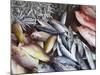 Fish at Market, Weligama, Southern Province, Sri Lanka, Asia-Ian Trower-Mounted Photographic Print