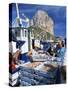 Fish Being Landed, Calpe, the Penyal d'Ifach Towering Above the Harbour, Alicante, Valencia, Spain-Ruth Tomlinson-Stretched Canvas