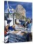 Fish Being Landed, Calpe, the Penyal d'Ifach Towering Above the Harbour, Alicante, Valencia, Spain-Ruth Tomlinson-Stretched Canvas