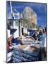 Fish Being Landed, Calpe, the Penyal d'Ifach Towering Above the Harbour, Alicante, Valencia, Spain-Ruth Tomlinson-Mounted Photographic Print