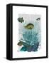 Fish Blue Shells and Corals-Fab Funky-Framed Stretched Canvas