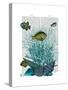 Fish Blue Shells and Corals-Fab Funky-Stretched Canvas
