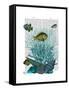 Fish Blue Shells and Corals-Fab Funky-Framed Stretched Canvas