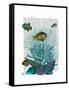 Fish Blue Shells and Corals-Fab Funky-Framed Stretched Canvas