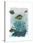 Fish Blue Shells and Corals-Fab Funky-Stretched Canvas