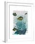 Fish Blue Shells and Corals-Fab Funky-Framed Art Print