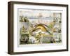 Fish, C1850-Robert Kent Thomas-Framed Giclee Print