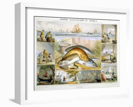 Fish, C1850-Robert Kent Thomas-Framed Giclee Print