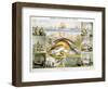 Fish, C1850-Robert Kent Thomas-Framed Giclee Print