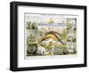 Fish, C1850-Robert Kent Thomas-Framed Giclee Print