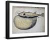 Fish Called Crocros-null-Framed Giclee Print