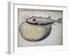 Fish Called Crocros-null-Framed Giclee Print