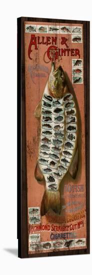 Fish Cards-Kate Ward Thacker-Stretched Canvas