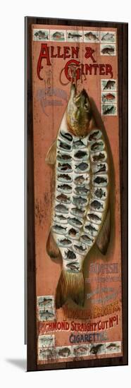 Fish Cards-Kate Ward Thacker-Mounted Premium Giclee Print